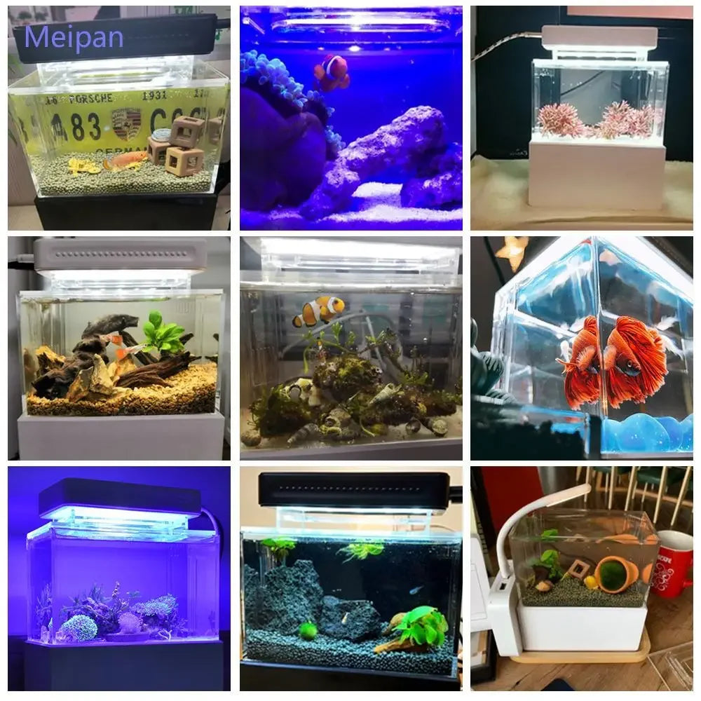 Portable Mini Betta Fish Tank | Desktop Aquarium with Water Filter, USB Air Pump & LED Light