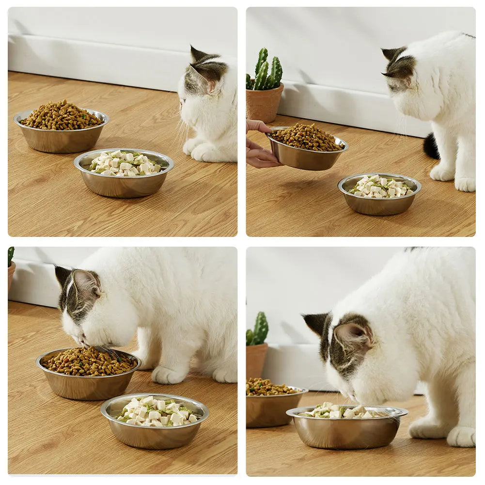 Large Capacity Stainless Steel Dog & Cat Bowl | Durable Metal Feeder for Food and Water