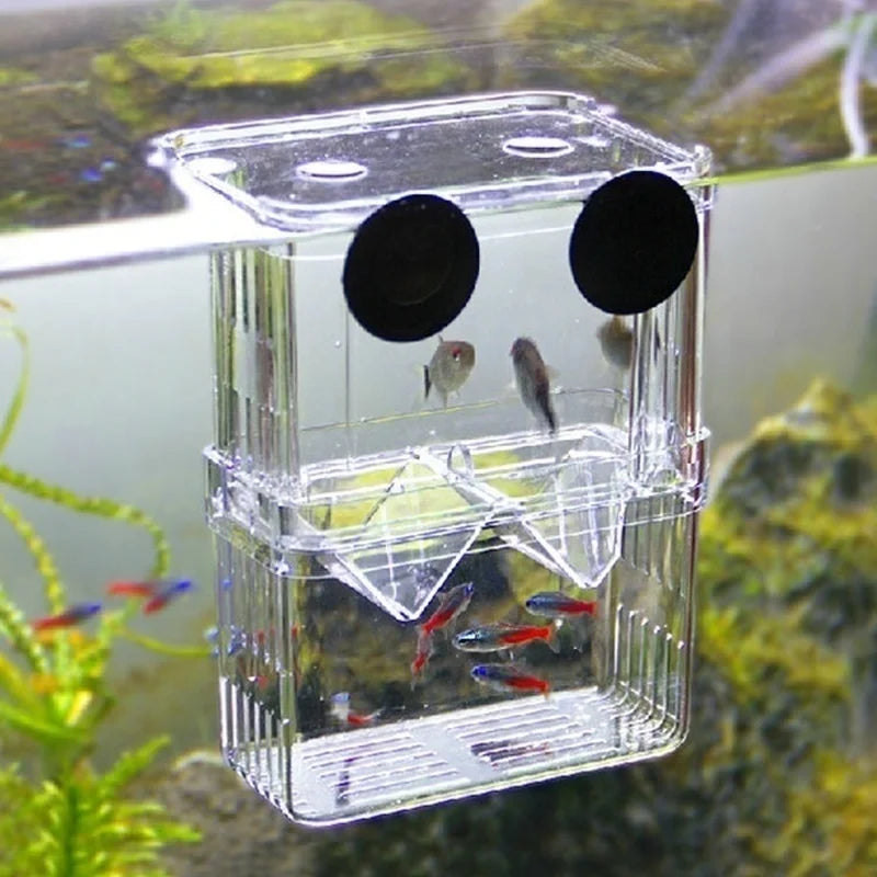 Multifunctional Fish Breeding Isolation Box | High Clear Acrylic Hatching Incubator for Guppies & Fish