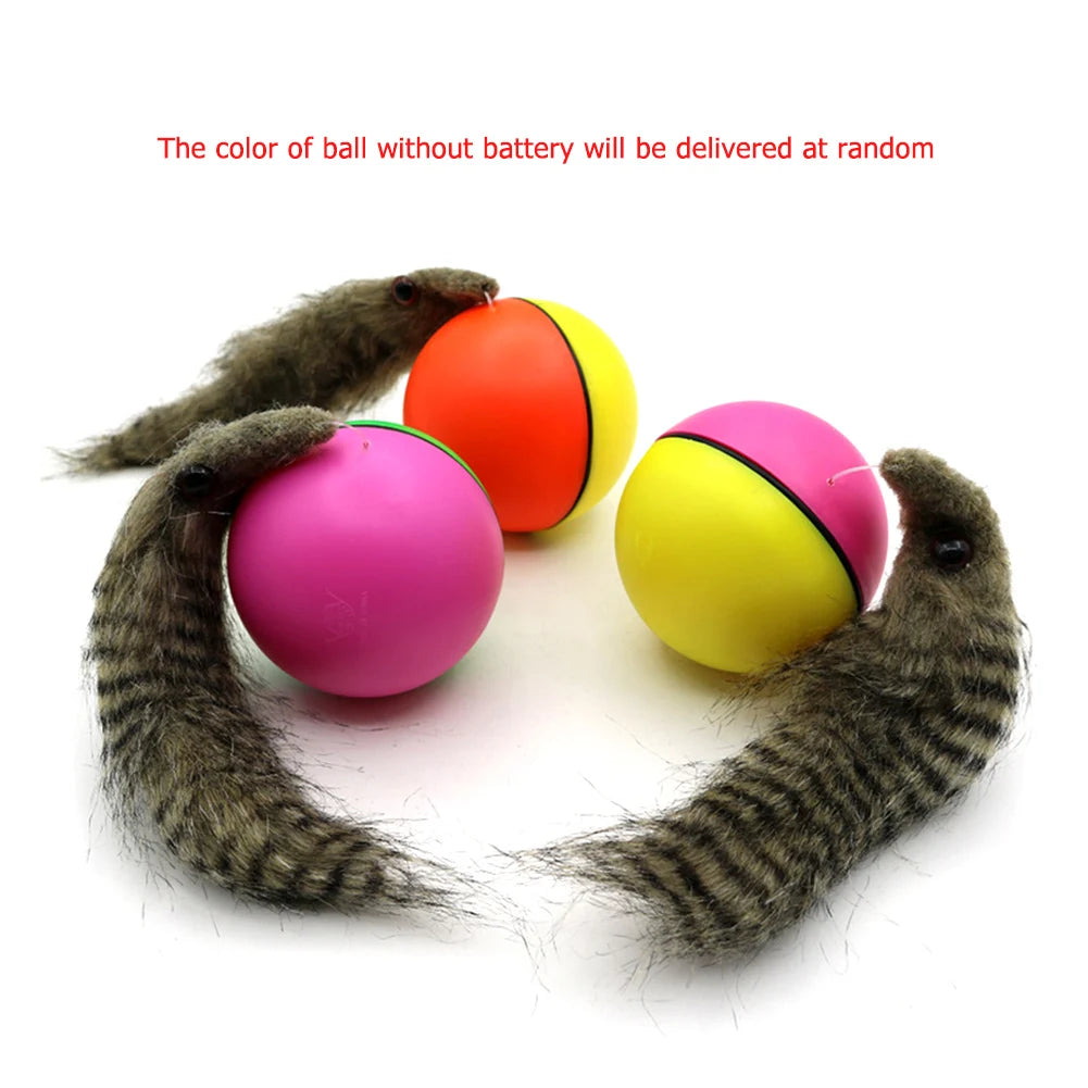 Electric Beaver Weasel Rolling Ball | Interactive Chasing Toy for Dogs - Agility Training Supplies