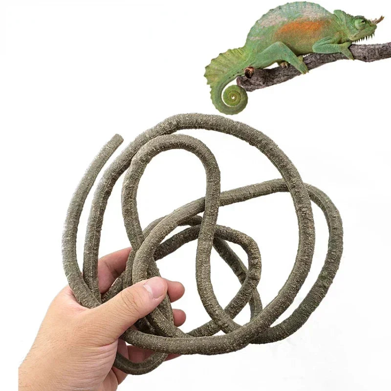 Large Flexible Rattan Vines for Reptiles | Bendable Jungle Branches for Terrarium Decor (1.5m, 2.5m, 3m)