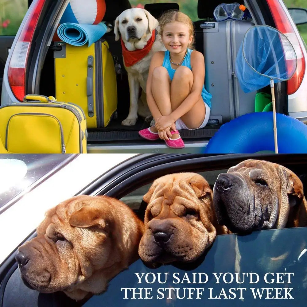 Adjustable Pet Dog Car Seat Belt | Safety Harness for Small & Medium Dogs | Travel Pet Supplies
