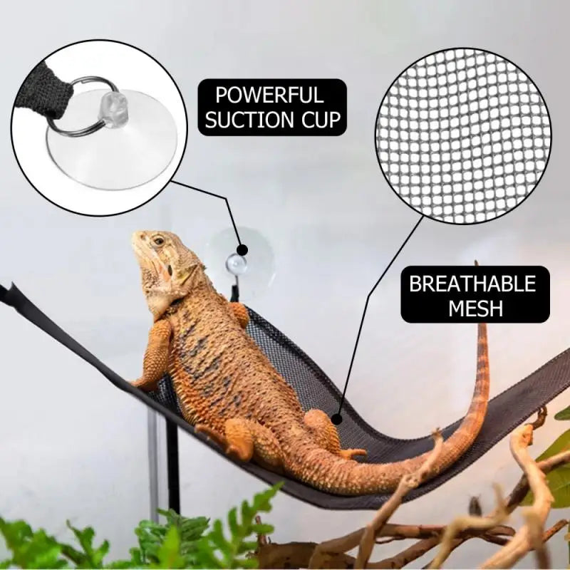 2 Pack Bearded Dragon Hammock | Lizard Lounger Ladder Hanging Bed Accessories for Reptile Habitat