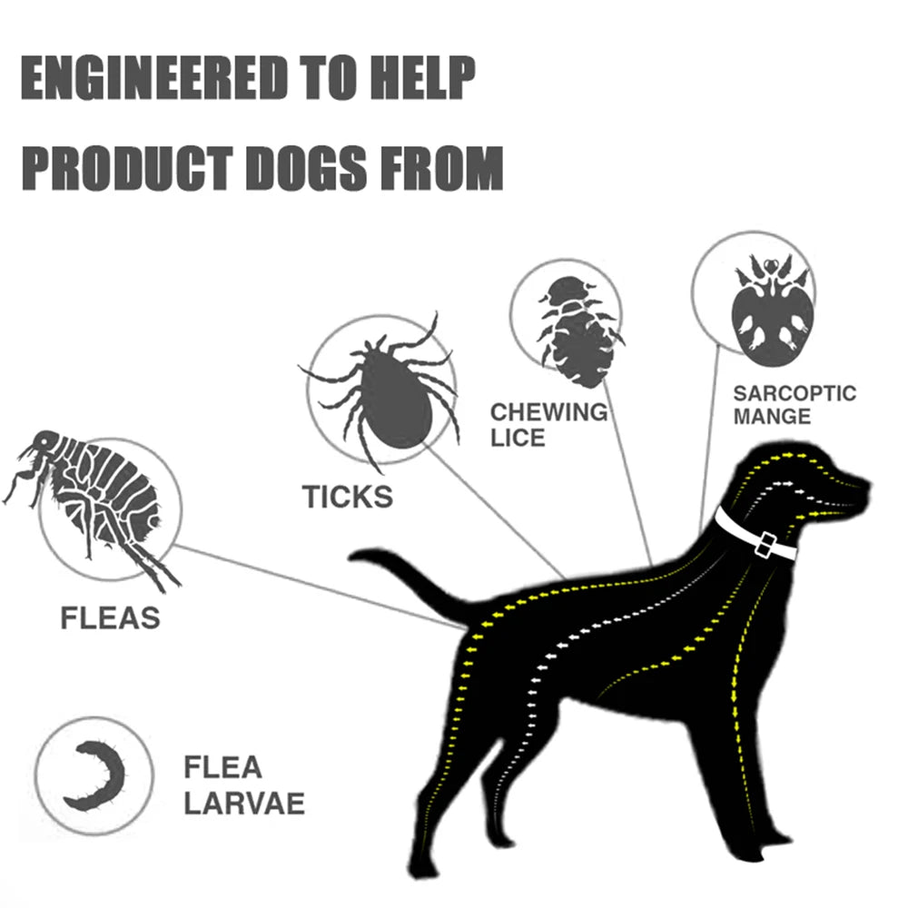 8-Month Protection Flea & Tick Collar | Adjustable Silicone Cat Necklace for Insect Prevention