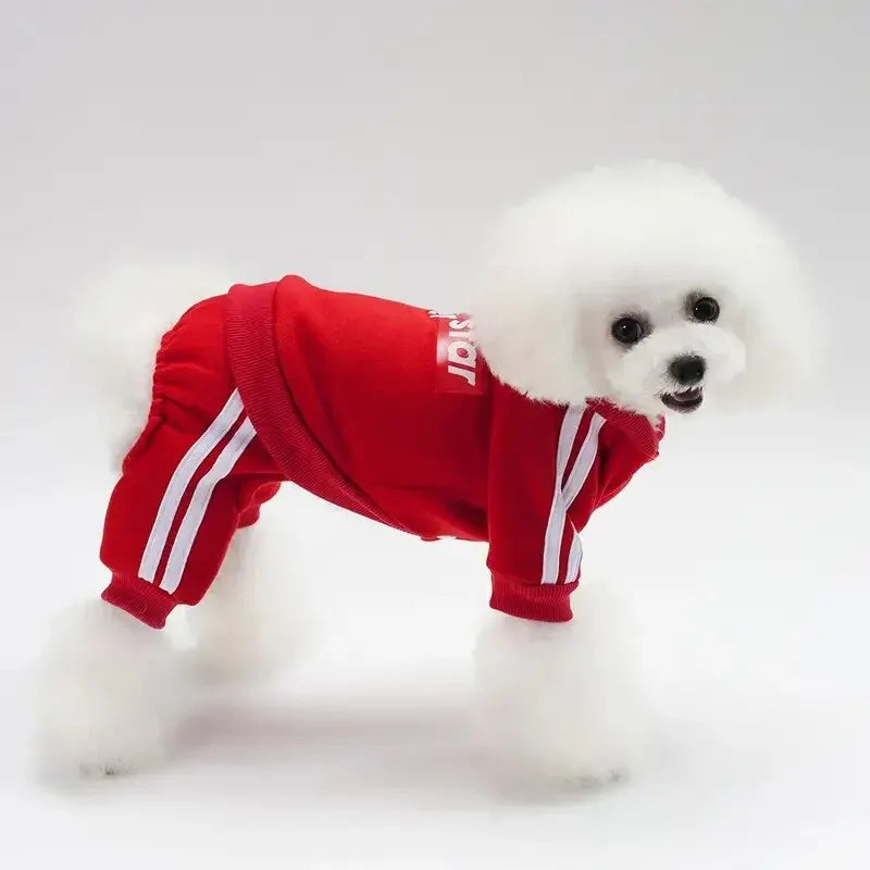 Winter Warm Pet Apparel Jumpsuit, Printed Clothes Sweater