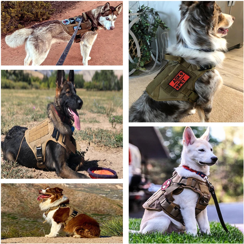 Tactical Military Dog Harness & Leash Set | For Large Dogs, German Shepherds, K9, Malinois