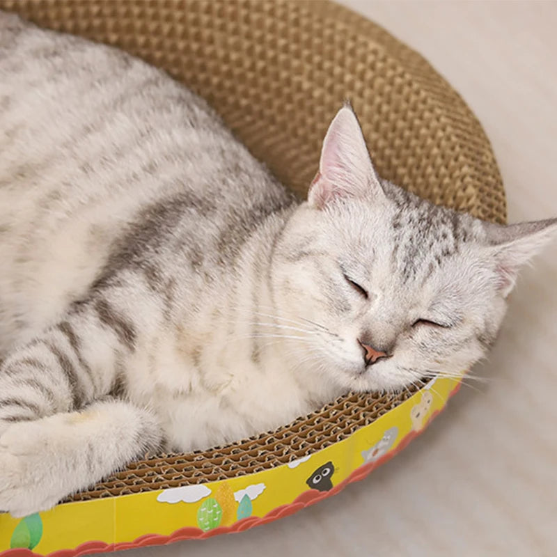 Oval Cat Nest with Scratch Board | Durable Pet Toy & Cozy Sleeping Spot