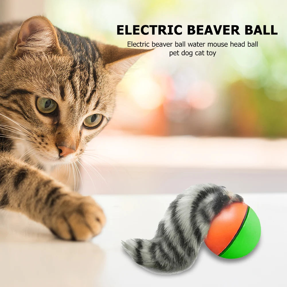 Electric Beaver Weasel Rolling Ball | Interactive Chasing Toy for Dogs - Agility Training Supplies