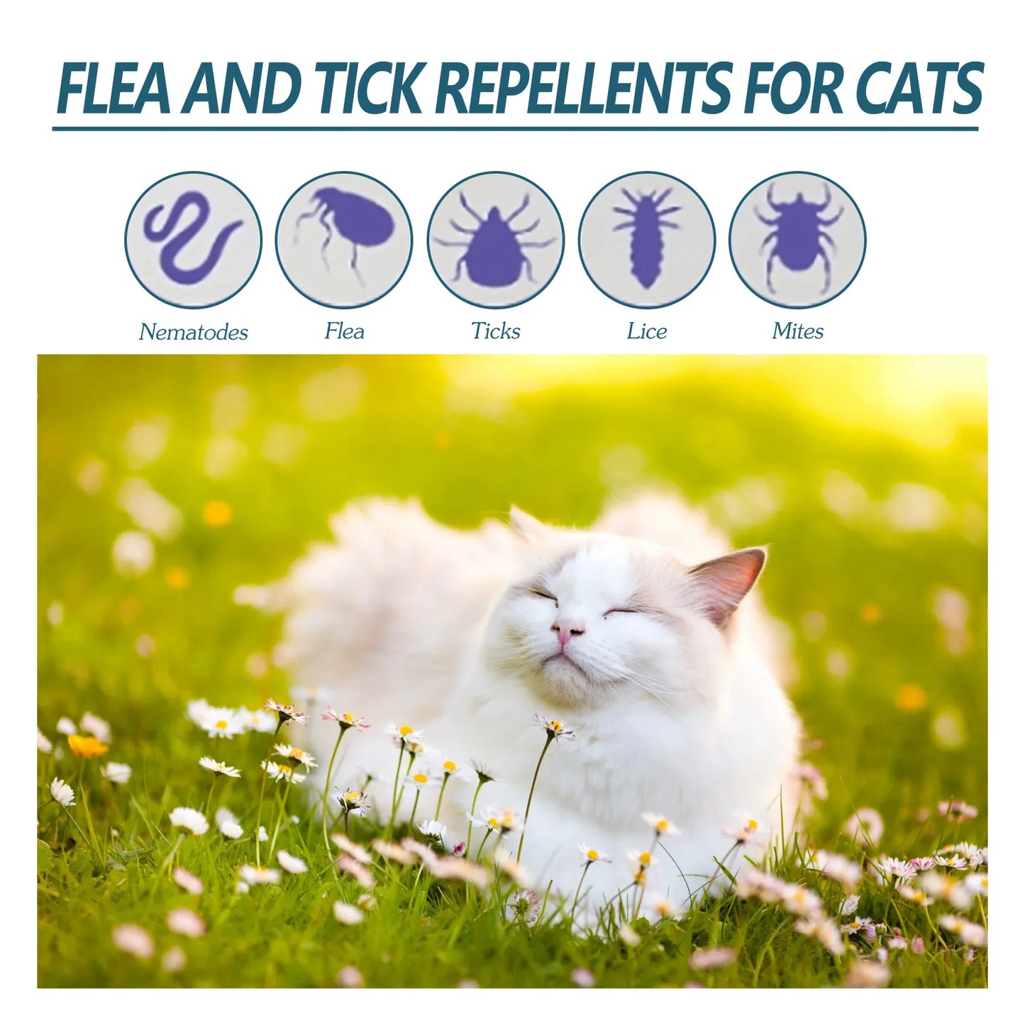 All-in-One Pet Flea and Tick Treatment Drops | Lice, Mite, and Ringworm Remover for Cats and Dogs