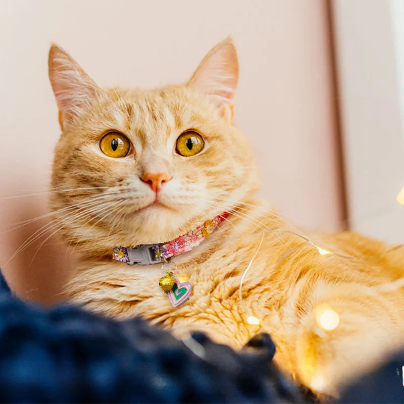 Adjustable Rainbow Cat Collars with Bell | Cute Kitten Collars for Small Dogs and Pets - Stylish Pet Accessories