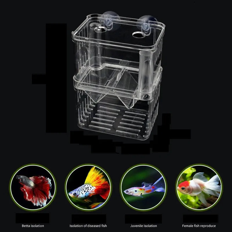 S/L/XL Aquarium Breeder Box | Acrylic Isolation Box for Fish & Shrimp