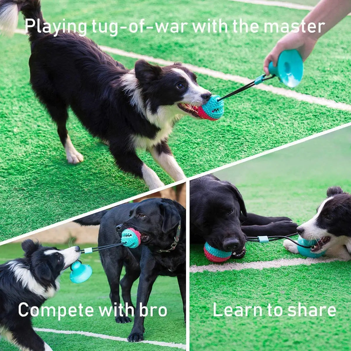 Interactive Tug of War Ball for Large Breed Dogs | Mentally Stimulating Teething Toy in Red and Turquoise