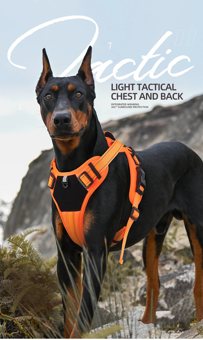 Brilliant Truelove No Pull Reflective Dog Harness | Adjustable & Comfortable