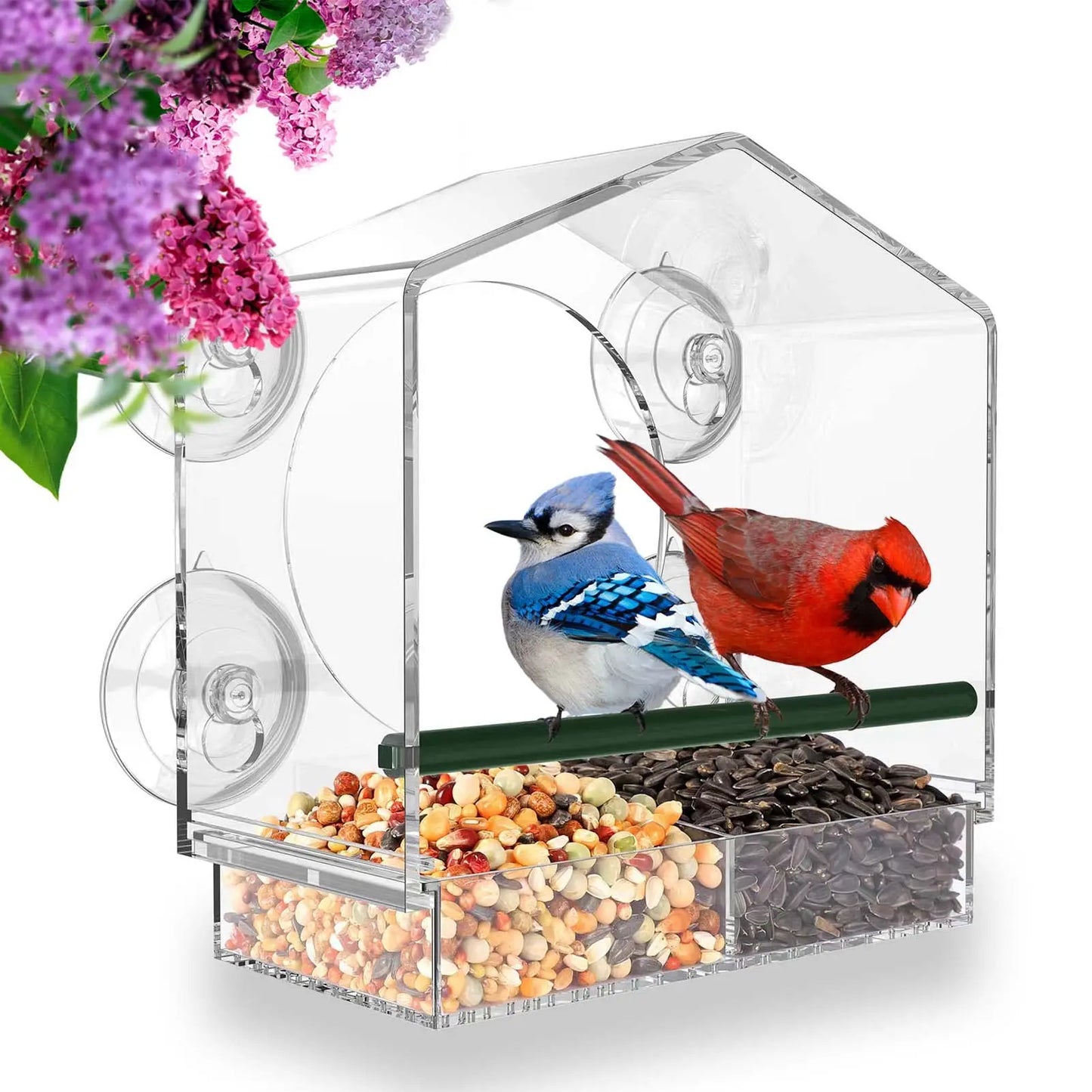 Window Bird Feeder | Waterproof House-Shaped Squirrel Food Container with Suction Cup Installation