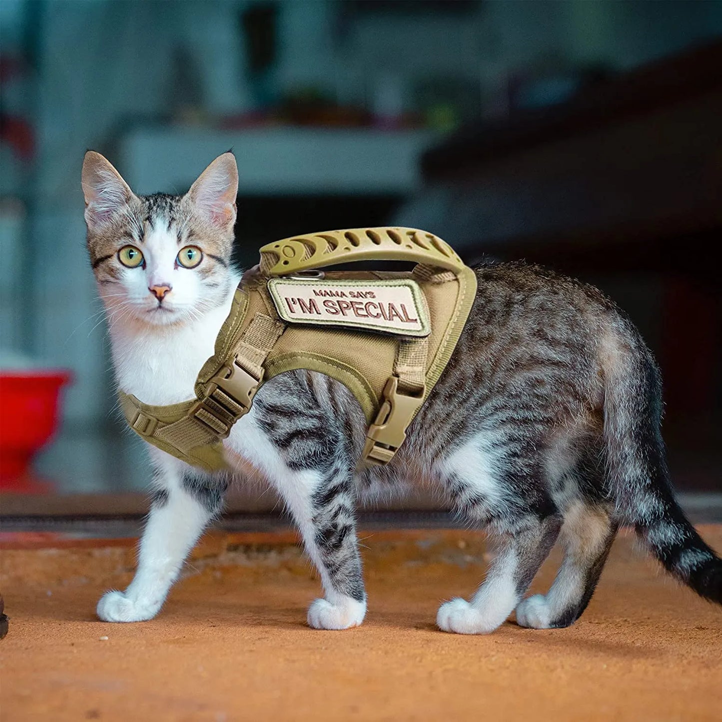 Escape Proof Tactical Cat Harness | Adjustable Vest with Control Handle