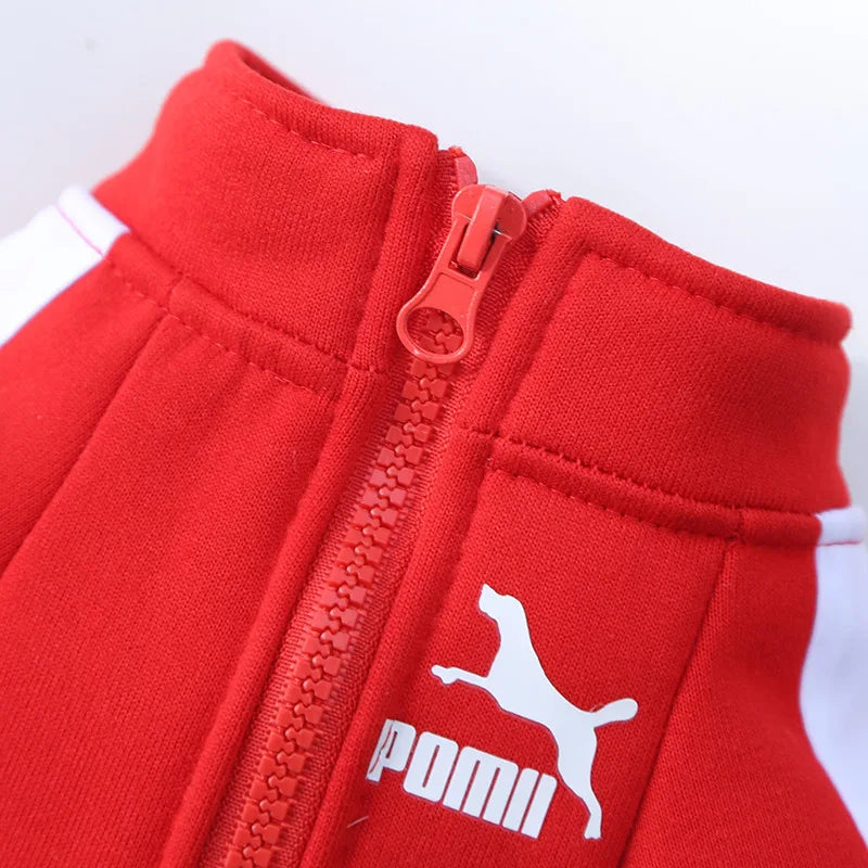 Baseball Dog Jacket Winter Dog Clothes for Small Medium Dogs