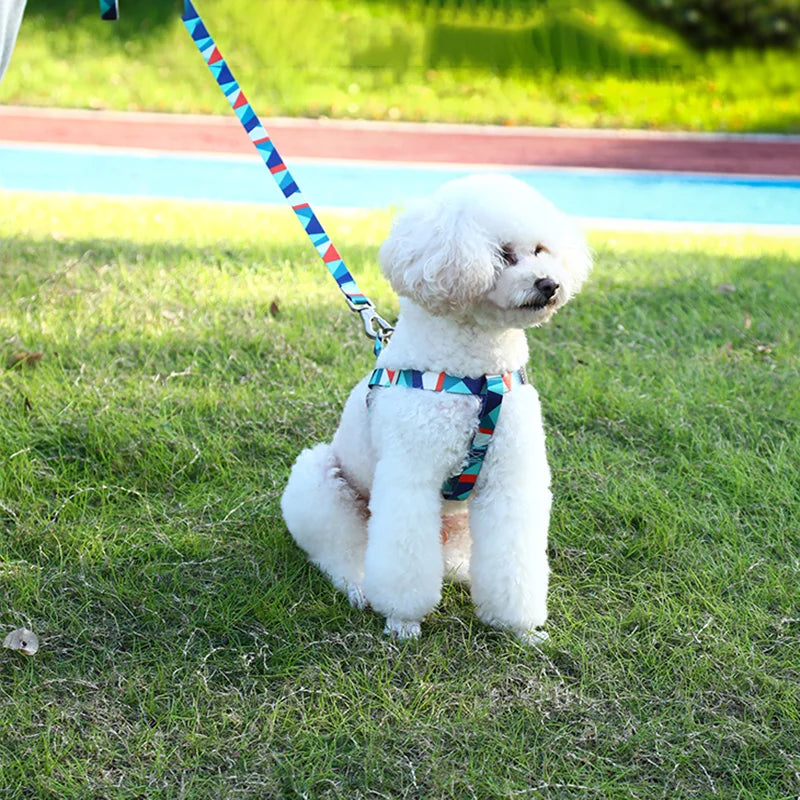 Dog Harness Vest and Leash Set Pet Vest Harness Adjustable Dog Leash Breathable Pet Harness For Small Medium Dogs Pet Supplies