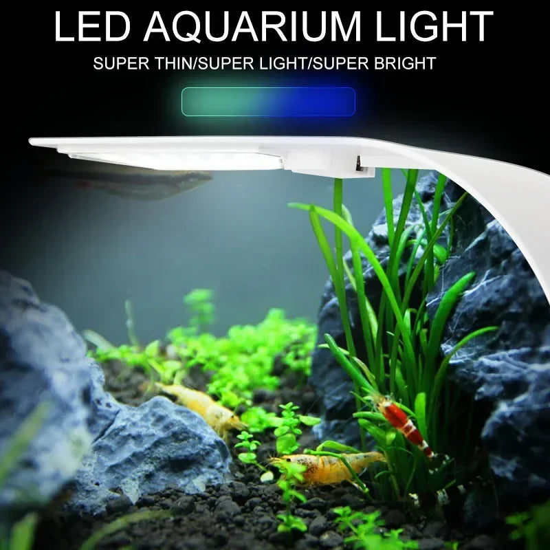 Super Slim LED Aquarium Light | 5W/10W/15W Waterproof Clip-On Grow Light for Aquatic Plants
