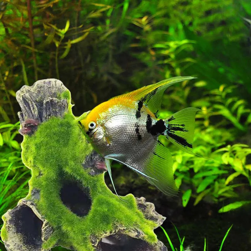 Aquarium Tree Trunk Decoration | Resin Hiding Cave for Shrimp & Fish Landscape