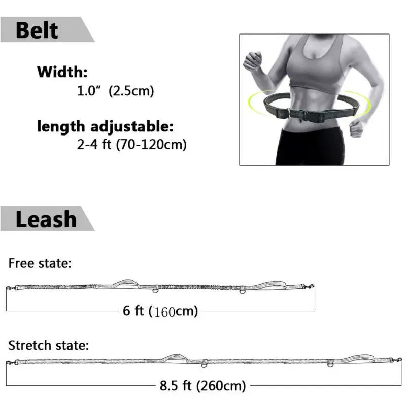 Reflective Elastic Dog Running Leash | Hands-Free Jogging Belt with Metal D-Ring