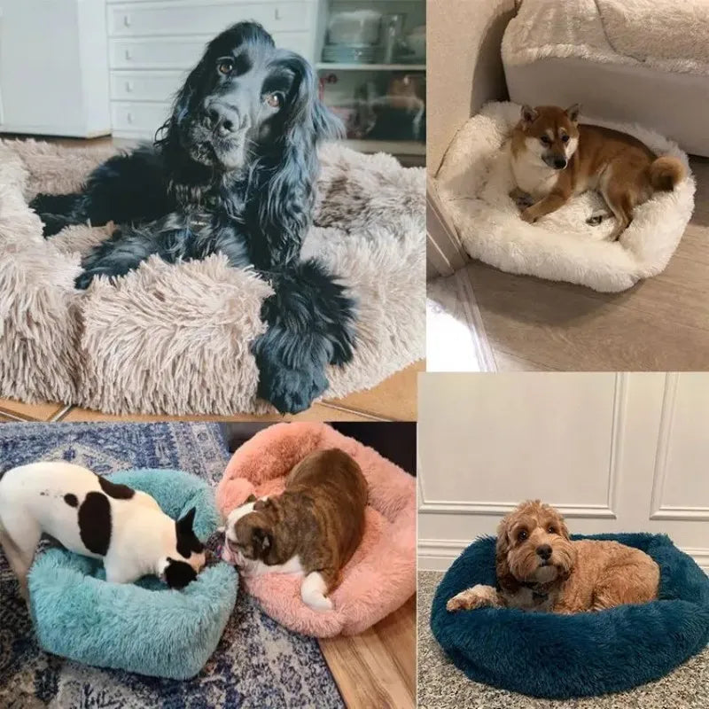 Rectangle Plush Dog Bed Winter Warm Mat Small Medium Big Pet
