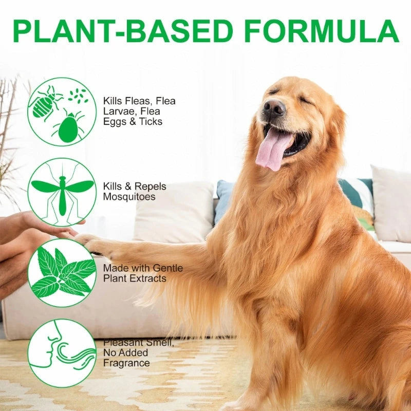 Fleas and Tick Treatment for Dogs | Prevention and Control Spray for Home Use