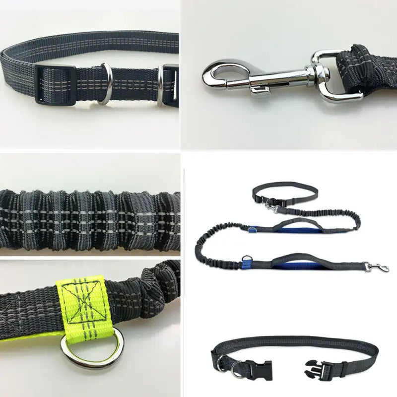 Reflective Elastic Dog Running Leash | Hands-Free Jogging Belt with Metal D-Ring