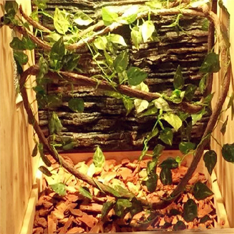 Large Flexible Rattan Vines for Reptile Habitat | Bendable Jungle Branches for Climbing Decor (1.5m, 2.5m, 3m)