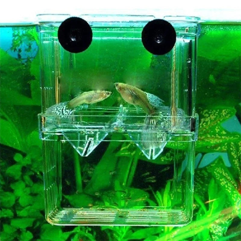 Multifunctional Fish Breeding Isolation Box | High Clear Acrylic Hatching Incubator for Guppies & Fish