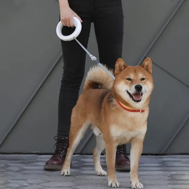 Moestar Retractable UFO Pet Leash | LED Light for Night Walks | Hands-Free Anti-Shock Design in Gray