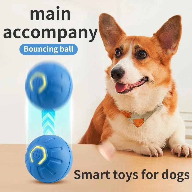 Intelligent Automatic Bouncing Rolling Ball | USB Rechargeable Rubber Toy for Small and Medium Dogs and Cats