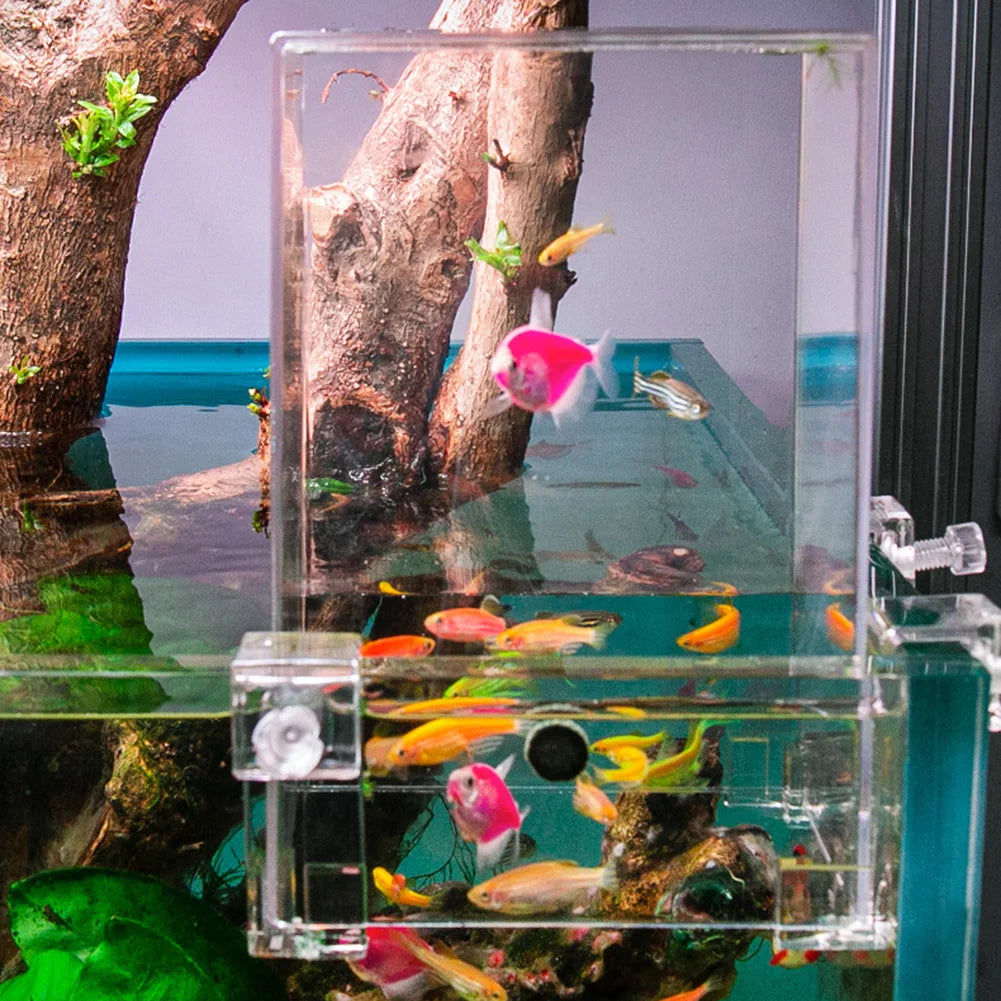 Clear Aerial Aquarium Extender | Negative Pressure Fish Tank with Ecological Landscaping Decoration