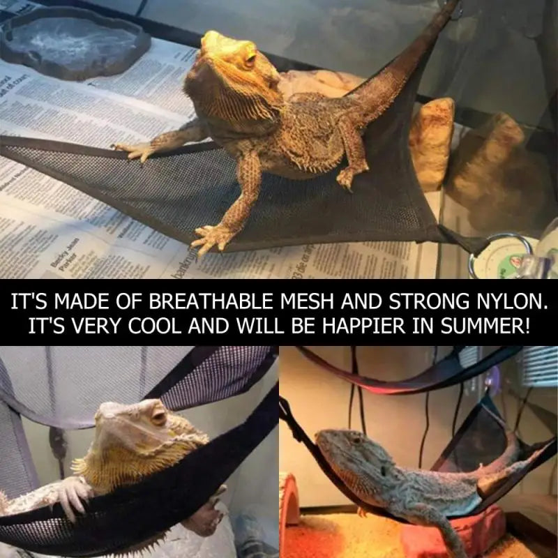 2 Pack Bearded Dragon Hammock | Lizard Lounger Ladder Hanging Bed Accessories for Reptile Habitat
