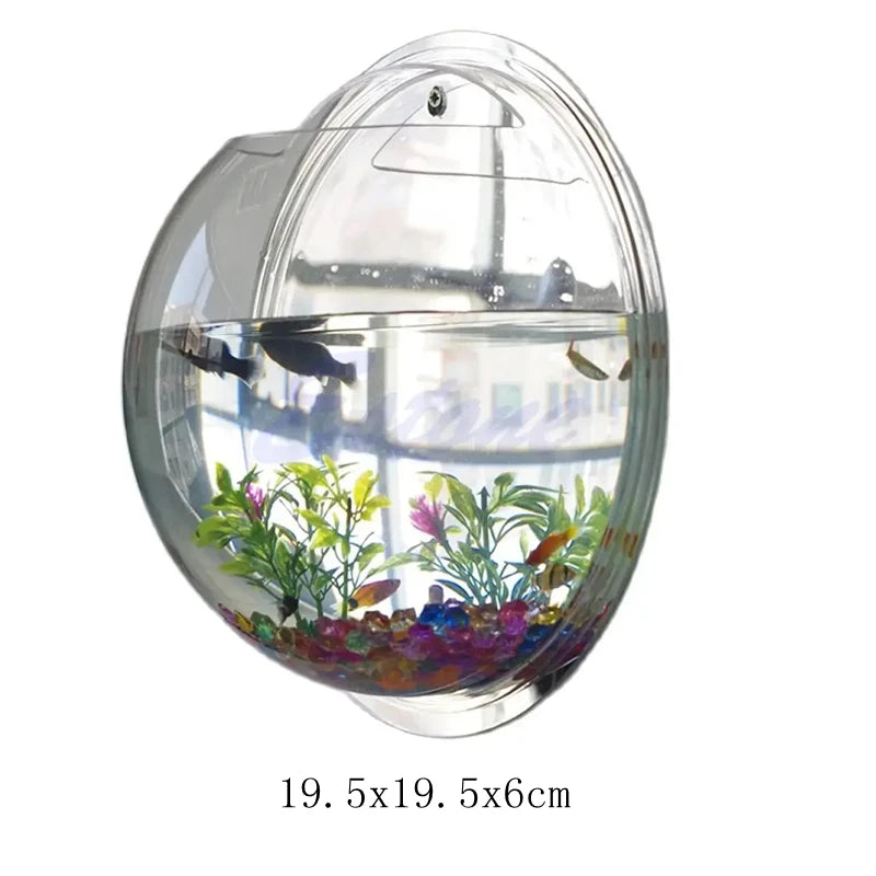 Wall Mounted Acrylic Fish Bowl | Transparent Hanging Fish Tank & Wall Plant Pot Planter