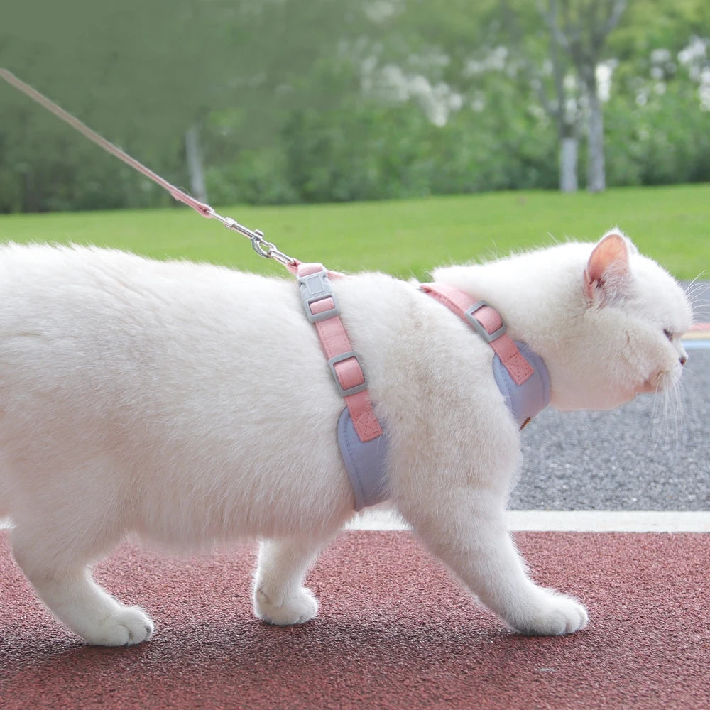 Escape Proof Adjustable Cat Dog Harness with Leash | Ideal for Small Pets