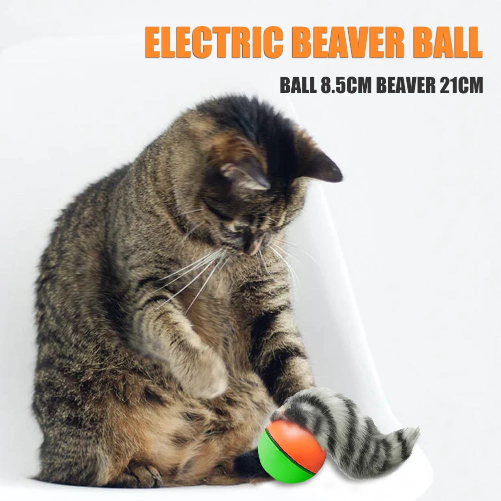 Electric Beaver Weasel Rolling Ball | Interactive Chasing Toy for Dogs - Agility Training Supplies
