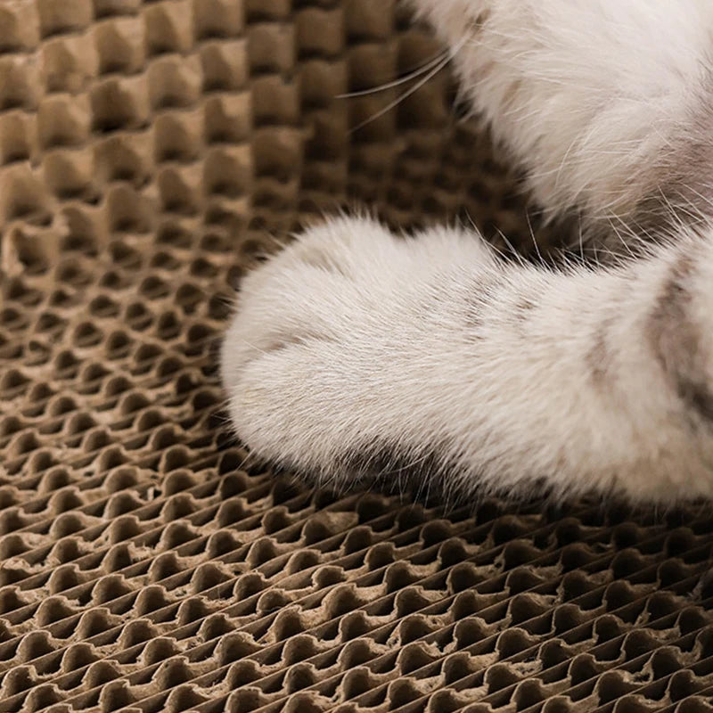 Oval Cat Nest with Scratch Board | Durable Pet Toy & Cozy Sleeping Spot