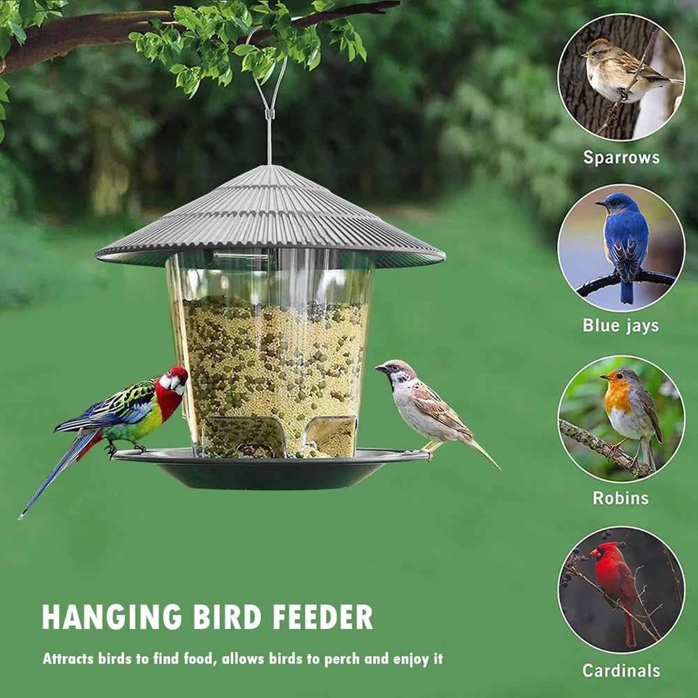 Transparent Hanging Bird Feeder | Outdoor Peanut Nut Feeding Station & Seed Food Dispenser