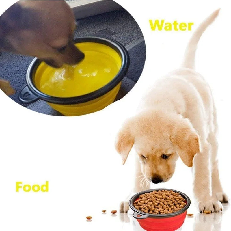 Collapsible Silicone Pet Bowl | Portable Dog Food & Water Bowl for Outdoor Travel