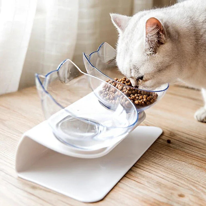 Non-Slip Double Cat and Dog Bowl with Stand | Pet Feeding Station for Food and Water