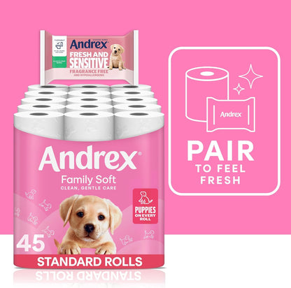Family Soft Toilet Tissue 45 Rolls (Previously  Gentle Clean) Gentle on Your Family’S Skin– Bulk Pack of 45 Toilet Rolls, FSC Certified