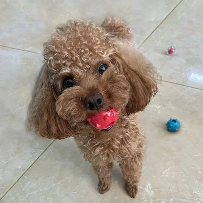 CAITEC Mini Squeaking Ball Dog Toy | Soft Floatable Springy Ball for Tossing and Chasing - Ideal for Mini & Small Dogs
