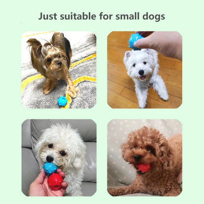 CAITEC Mini Squeaking Ball Dog Toy | Soft Floatable Springy Ball for Tossing and Chasing - Ideal for Mini & Small Dogs