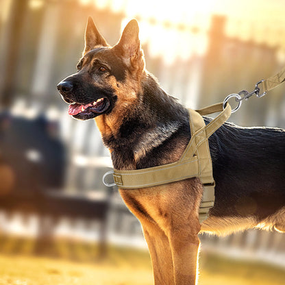Durable No Pull Dog Harness | Reflective Nylon Training Vest with Handle for Small, Medium & Large Dogs