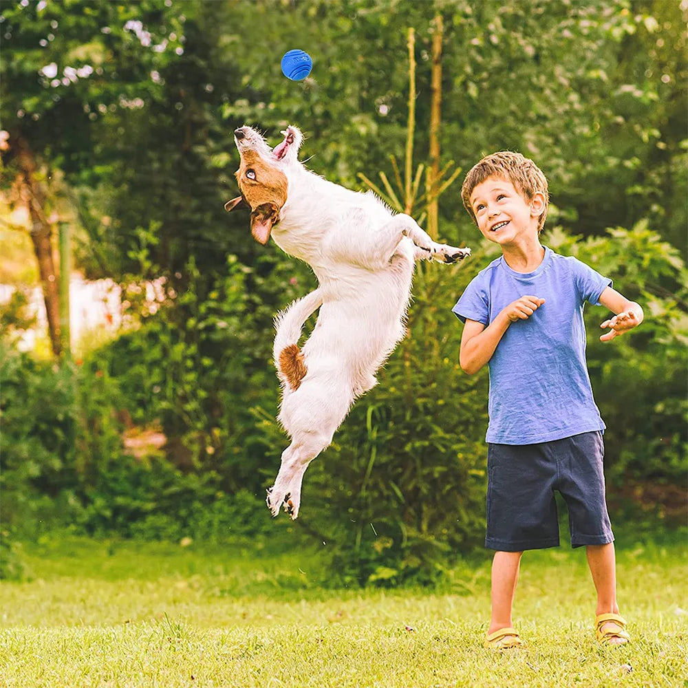 Bouncy Rubber Dog Ball | Durable Chew Toy for Outdoor Throwing and Recovery Training - Ideal for Dogs