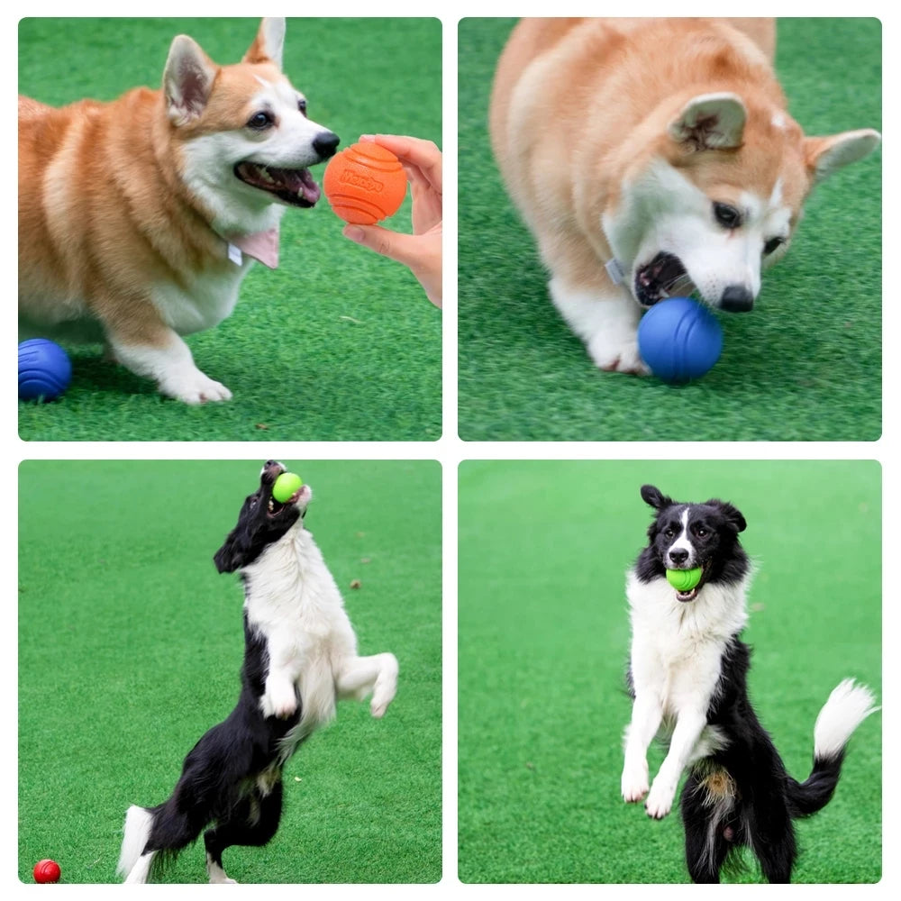 Bouncy Rubber Dog Ball | Durable Chew Toy for Outdoor Throwing and Recovery Training - Ideal for Dogs