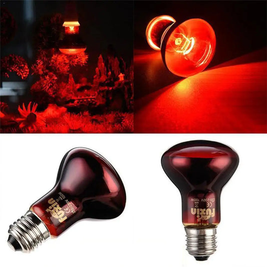 LED Red Reptile Night Light | UVA Infrared Heat Lamp Ceramic Bulb for Snakes, Lizards & Habitat Decor