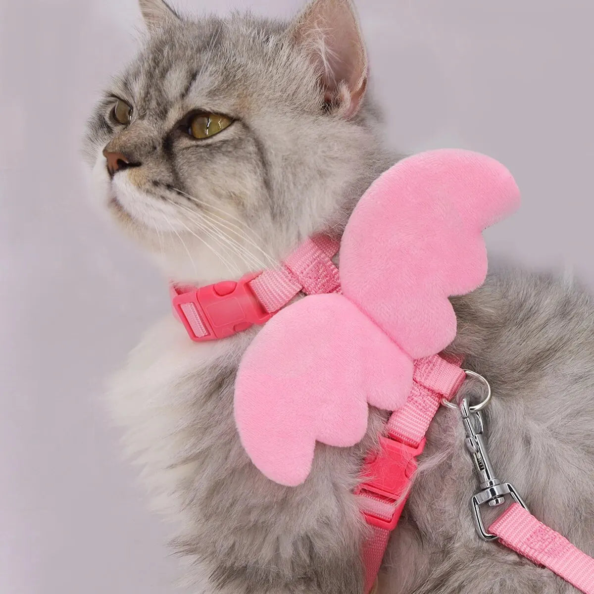 Wings Pet Harness and Handle Set | Adjustable Harness for Cats and Small Dogs