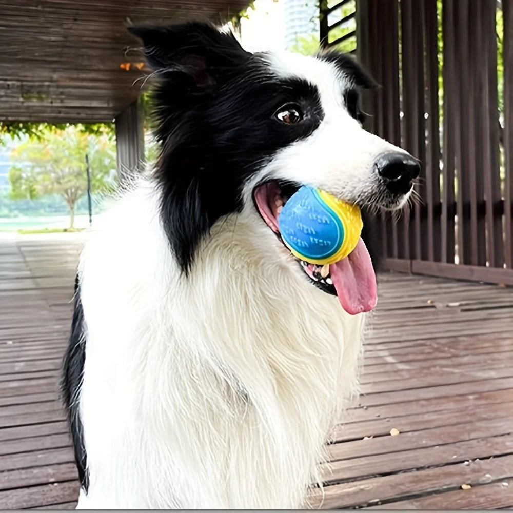 Durable Crew Ball Dog Toy | Interactive Chew Toy for Grinding Teeth - Perfect for Dogs