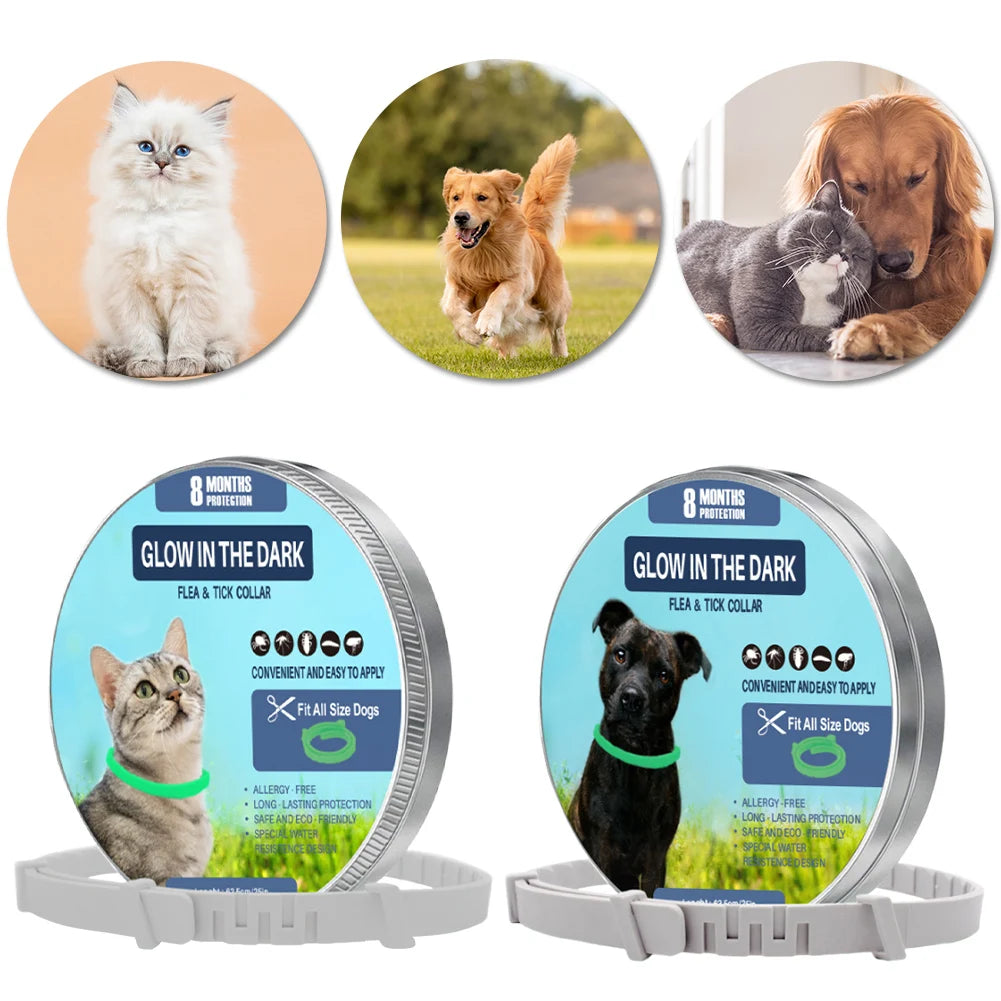 Luminous Flea and Tick Collar | Adjustable Pet Collar with Up to 8 Months Protection for Dogs and Cats